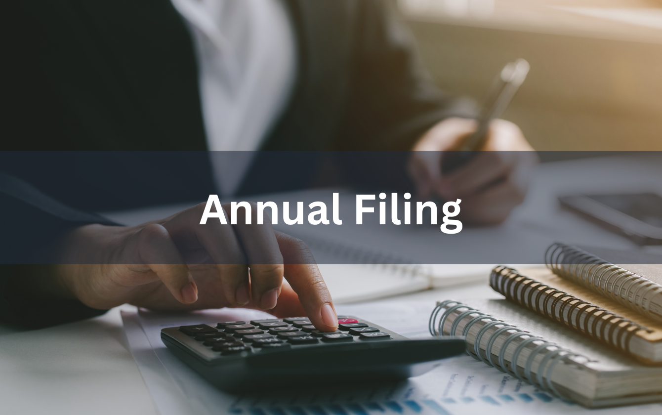 Annual Filing – law firm