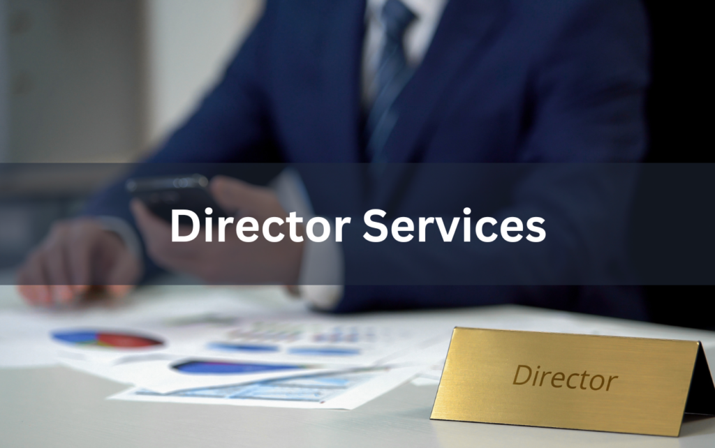 Director Services – law firm