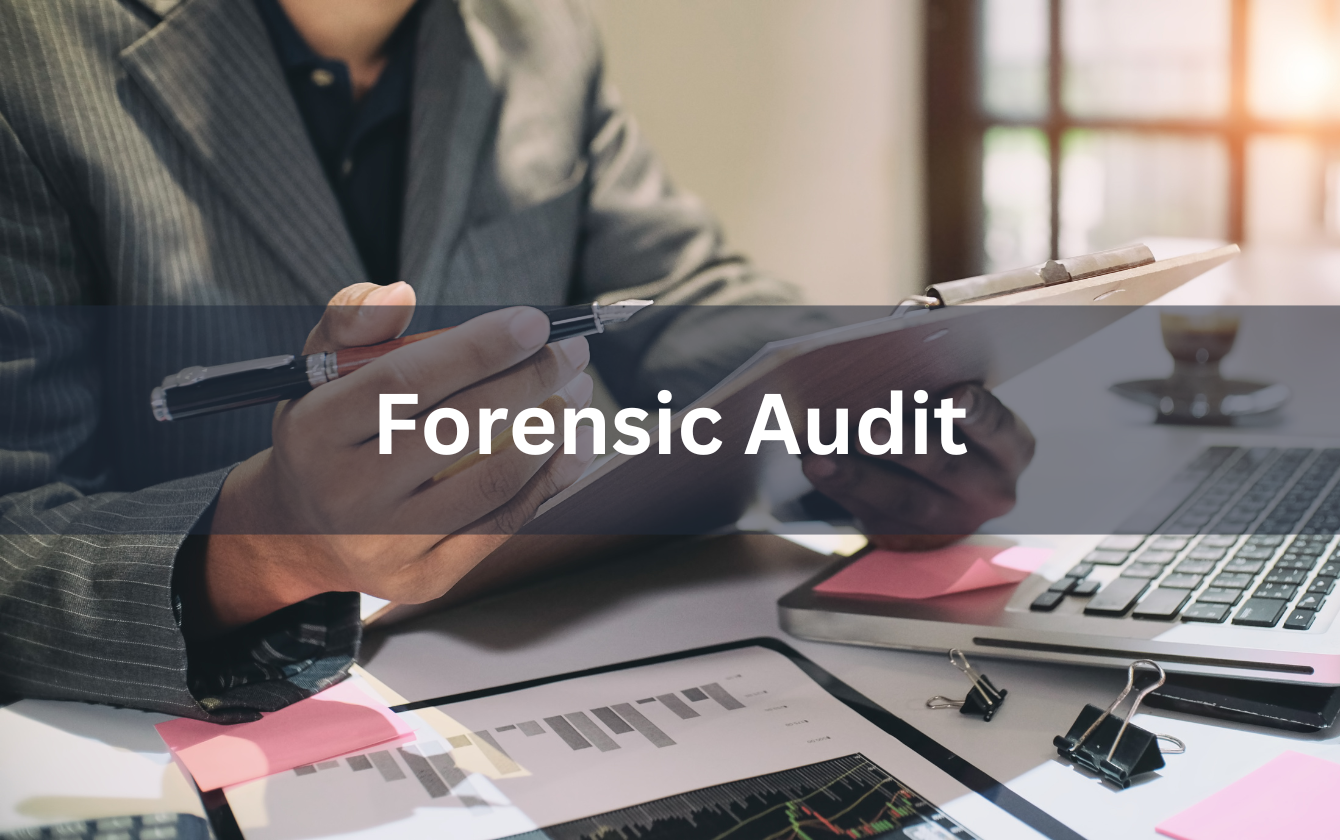 Forensic Audit – law firm